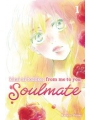 Kimi Ni Todoke From Me To Soulmate vol 1