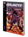 Hawkeye Modern Era Epic Collect s/c vol 1 Reunion