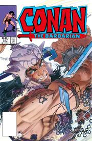 Conan The Barbarian The Original Comics Omnibus h/c vol 6 Direct Market Edition Mike Kaluta Cvr Previously Offered Thru Diamond