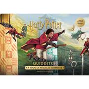 Harry Potter Quidditch h/c