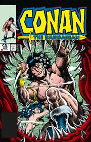 Conan The Barbarian The Original Comics Omnibus h/c vol 7 Regular Edition Mike Docherty