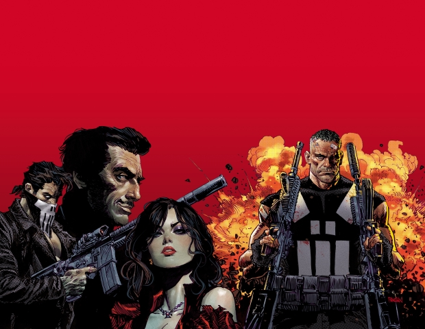 Marvel Knights Punisher s/c