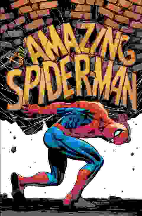 Amazing Spider-Man s/c vol 5 Damage Control