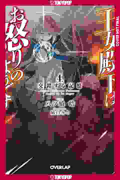 Her Royal Highness Seems To Be Angry Light Novel vol 4