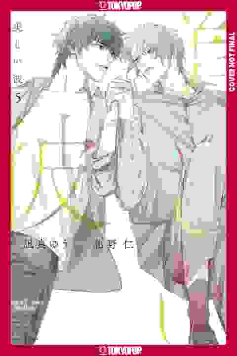My Beautiful Man Manga vol 5