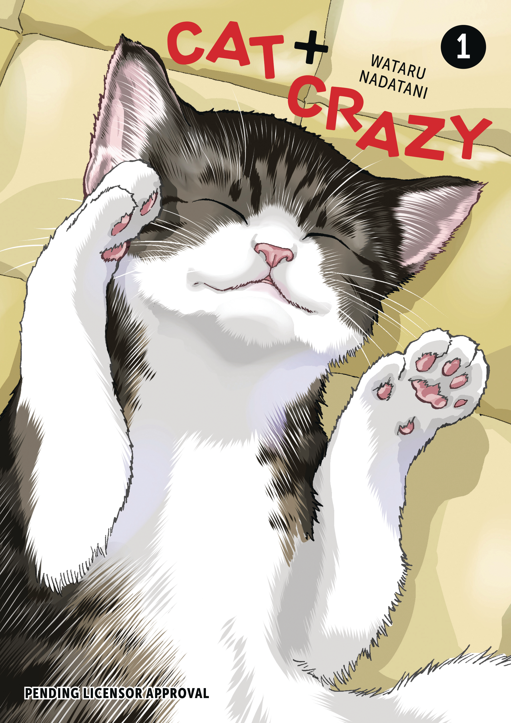 Cat + Crazy vol 1