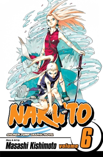Naruto vol 6