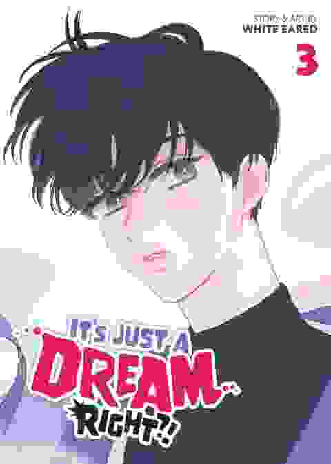 It's Just A Dream... Right?! vol 3