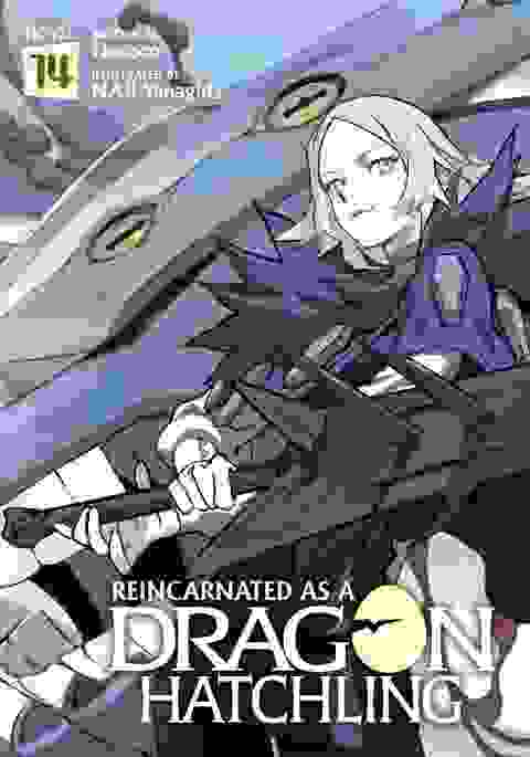 Reincarnated As A Dragon Hatchling Light Novel vol 14