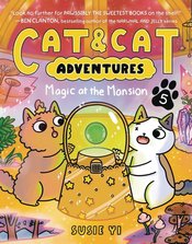 Cat & Cat Adv vol 5 Magic At The Mansion