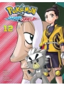 Pokemon Sword & Shield vol 12