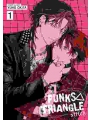 Punks Triangle Stitch vol 1