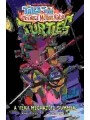 Tales Of The Teenage Mutant Ninja Turtles s/c A Very Mechazoid Summer