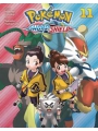 Pokemon Sword & Shield vol 11