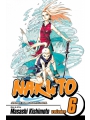 Naruto vol 6