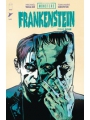 Universal Monsters Frankenstein #4 (of 4) Cvr A Walsh