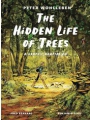 Hidden Life Of Trees Graphic Adaptation