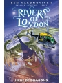 Rivers Of London vol 11: Here Be Dragons