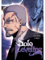 Solo Leveling s/c vol 11