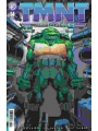 TMNT Journeys #14 Cvr A Michael Dooney