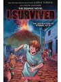 I Survived vol 10 Destruction Of Pompeii AD 79