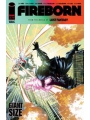 Fireborn #7 Cvr A Patrick Mulholland