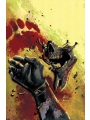 Absolute Green Arrow #5 (of 6) Cvr A Rafael Albuquerque