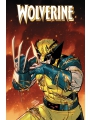 Wolverine By Saladin Ahmed vol 2: Call Of The Adamantine s/c