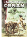 Savage Sword Of Conan The Original Comics Omnibus h/c vol 13 Direct Market Edition Earl Norem Cvr
