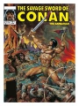 Savage Sword Of Conan The Original Comics Omnibus h/c vol 11 Regular Edition EarL Norem