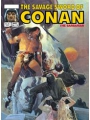 Savage Sword Of Conan Original Comics Omnibus vol 8 Direct Market Edition Bill Sienkiewicz Cvr
