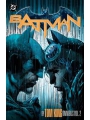 Batman By Tom King Omnibus h/c vol 2