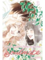 Kimi Ni Todoke From Me To Soulmate vol 3