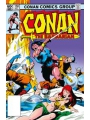 Conan The Barbarian The Original Comics Omnibus h/c vol 6 Regular Edition John Buscema Previously Offered Thru Diamond