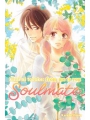 Kimi Ni Todoke From Me To Soulmate vol 2