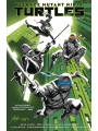 Teenage Mutant Ninja Turtles vol 1: Return To New York s/c