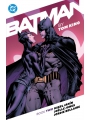 Batman By Tom King Book Two s/c