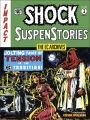 EC Archives: Shock Suspenstories vol 1 s/c