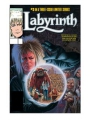 Jim Hensons Labyrinth Archive Ed #3 (of 3) Cvr A Palmer