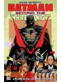 Batman Beyond The White Knight s/c