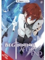 Beginning After End vol 6