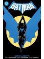 Batman vol 1: Daylight s/c