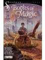 Books Of Magic vol 3: Dwelling In Possibility s/c