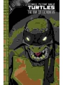 Teenage Mutant Ninja Turtles The IDW Collection s/c vol 9