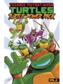 TMNT Turtle Power Pack s/c vol 2